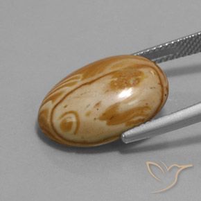 Jaspe Multicolore naturelle ovale, 9.73 ct, Opaque