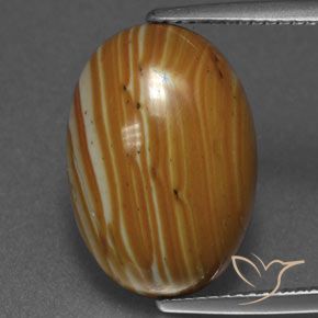 8.92ct Naturel Multicolore Jaspe, ovale, Opaque