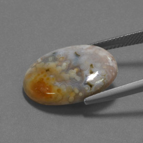 Jaspe Multicolore naturelle Coupe ovale, 12.16 ct, Opaque