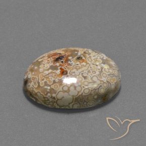 Jaspe Multicolore naturelle ovale, 15.73 ct, Opaque