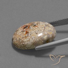 Jaspe Multicolore naturelle ovale, 15.73 ct, Opaque