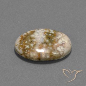 Jaspe Multicolore naturelle ovale, 12.13 ct, Opaque