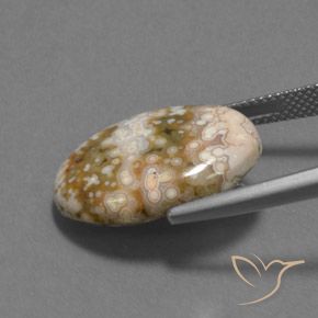 Jaspe Multicolore naturelle ovale, 12.13 ct, Opaque