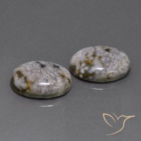 Shop natural 26.88ct Multicolore Jaspe gems, ovale, from Indonésie at GemSelect. In stock, global shipping!