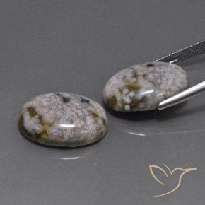 Shop natural 26.88ct Multicolore Jaspe gems, ovale, from Indonésie at GemSelect. In stock, global shipping!