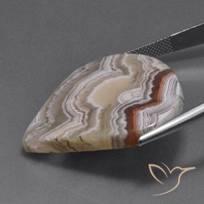 Jaspe Multicolore naturelle En forme de poire, 39.03 ct, Opaque
