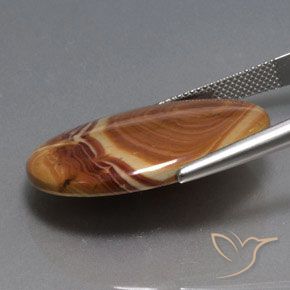 Jaspe Multicolore naturelle ovale, 21.59 ct, Opaque