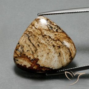 24.75ct Naturel Multicolore Jaspe, En forme de poire, Opaque
