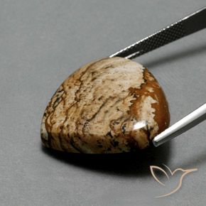 Jaspe Multicolore naturelle En forme de poire, 24.75 ct, Opaque