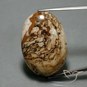 37.73ct Naturel Multicolore Jaspe, ovale, Opaque