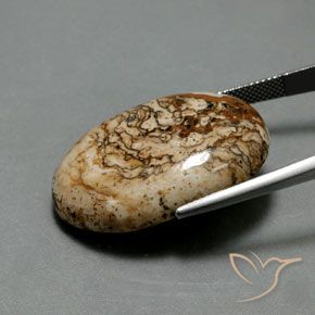 Jaspe Multicolore naturelle ovale, 37.73 ct, Opaque