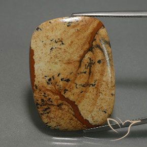 27.74ct Naturel Multicolore Jaspe, Coussin, Opaque