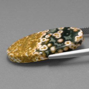 Jaspe Multicolore naturelle Coupe ovale, 19.53 ct, Opaque