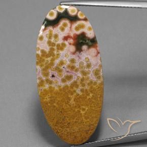 25.07ct Naturel Multicolore Jaspe, ovale, Opaque