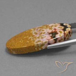 Jaspe Multicolore naturelle ovale, 25.07 ct, Opaque