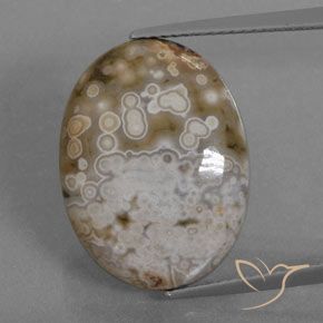 12.72ct Naturel Multicolore Jaspe, ovale, Opaque