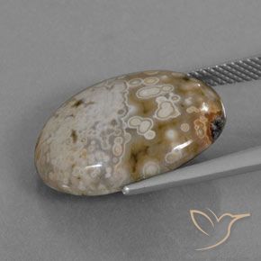 Jaspe Multicolore naturelle ovale, 12.72 ct, Opaque
