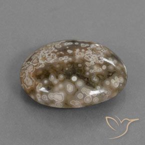 Jaspe Multicolore naturelle ovale, 13.00 ct, Opaque