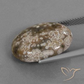 Jaspe Multicolore naturelle ovale, 13.00 ct, Opaque