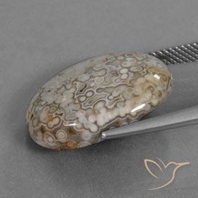 Jaspe Multicolore naturelle ovale, 12.43 ct, Opaque