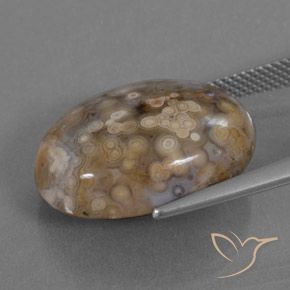 Jaspe Multicolore naturelle ovale, 15.78 ct, Opaque
