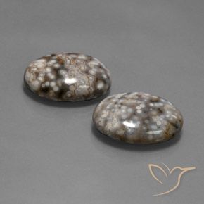 Shop natural 26.12ct Multicolore Jaspe gems, ovale, from Indonésie at GemSelect. In stock, global shipping!