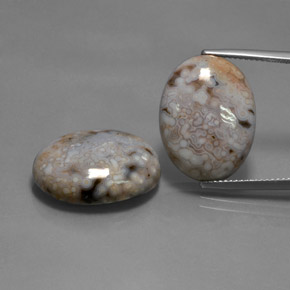 Achetez naturel 28,35ct multicolore jaspe gems, coupe ovale, en provenance indonésie chez gemselect. en stock, livraison internationale!