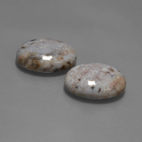 Achetez naturel 28,35ct multicolore jaspe gems, coupe ovale, en provenance indonésie chez gemselect. en stock, livraison internationale!
