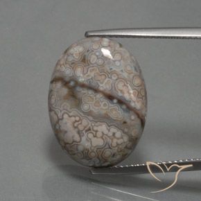 12.39ct Naturel Multicolore Jaspe, ovale, Opaque