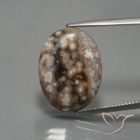 12.87ct Naturel Multicolore Jaspe, ovale, Opaque