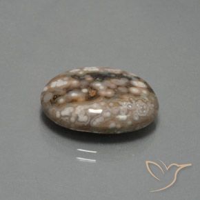 Jaspe Multicolore naturelle ovale, 12.87 ct, Opaque