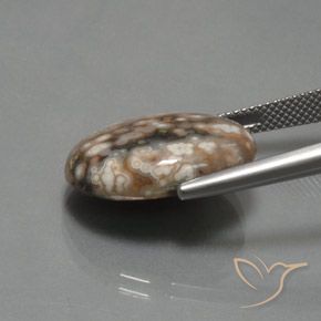 Jaspe Multicolore naturelle ovale, 12.87 ct, Opaque