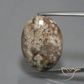 14.73ct Naturel Multicolore Jaspe, ovale, Opaque