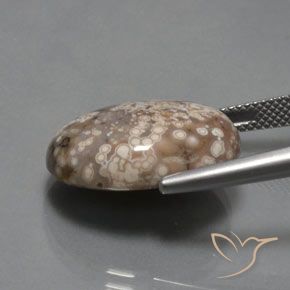 Jaspe Multicolore naturelle ovale, 14.73 ct, Opaque