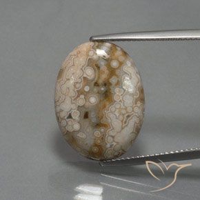 11.83ct Naturel Multicolore Jaspe, ovale, Opaque