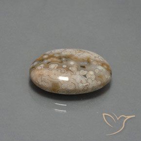 Jaspe Multicolore naturelle ovale, 11.83 ct, Opaque