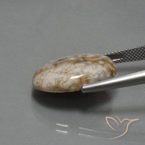 Jaspe Multicolore naturelle ovale, 11.83 ct, Opaque