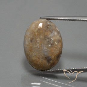 15.30ct Naturel Multicolore Jaspe, ovale, Opaque