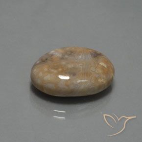 Jaspe Multicolore naturelle ovale, 15.30 ct, Opaque