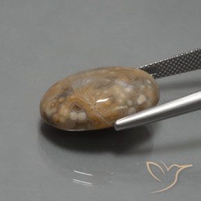 Jaspe Multicolore naturelle ovale, 15.30 ct, Opaque