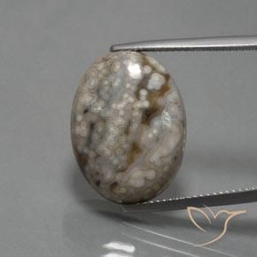 14.48ct Naturel Multicolore Jaspe, ovale, Opaque