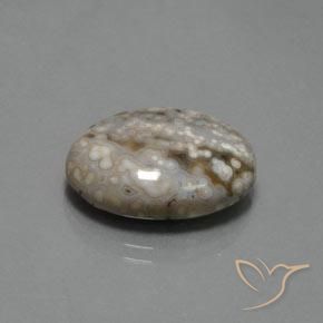 Jaspe Multicolore naturelle ovale, 14.48 ct, Opaque