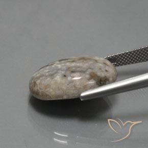 Jaspe Multicolore naturelle ovale, 14.48 ct, Opaque
