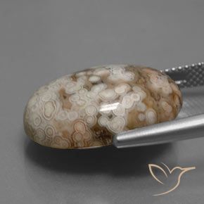 Jaspe Multicolore naturelle ovale, 14.70 ct, Opaque