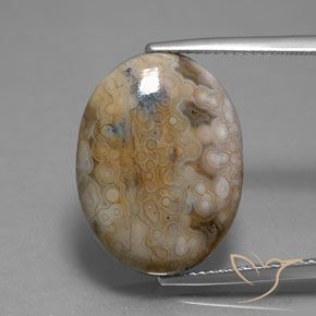 13.80ct Naturel Multicolore Jaspe, ovale, Opaque