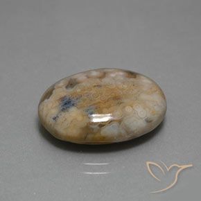 Jaspe Multicolore naturelle ovale, 13.80 ct, Opaque