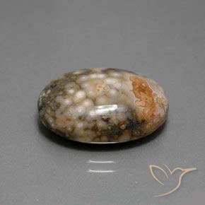 Jaspe Multicolore naturelle ovale, 14.34 ct, Opaque