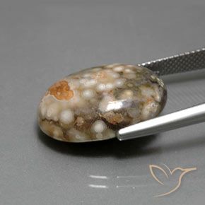 Jaspe Multicolore naturelle ovale, 14.34 ct, Opaque