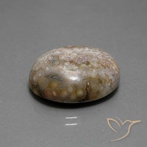 Jaspe Multicolore naturelle ovale, 15.26 ct, Opaque