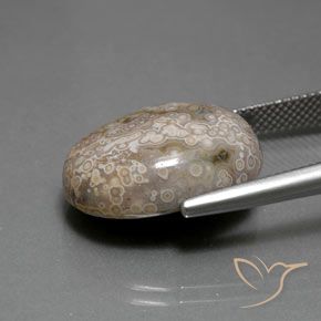 Jaspe Multicolore naturelle ovale, 15.26 ct, Opaque